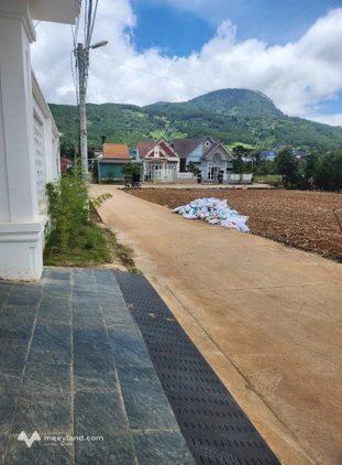 Bất động sản tại Lâm Đồng - ảnh 1