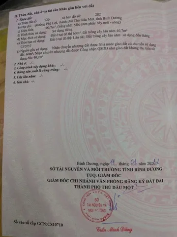 Bất động sản tại Bình Dương - ảnh 1