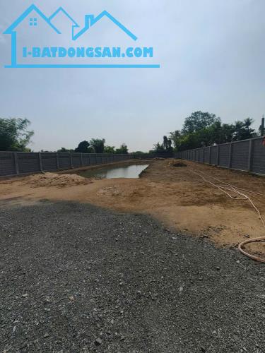 Bất động sản tại Long An - ảnh 1