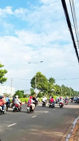 Bất động sản tại Đồng Nai - ảnh 1