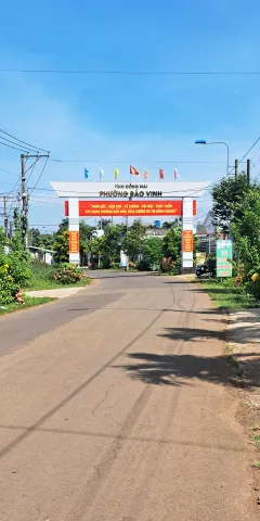 Bất động sản tại Đồng Nai - ảnh 1