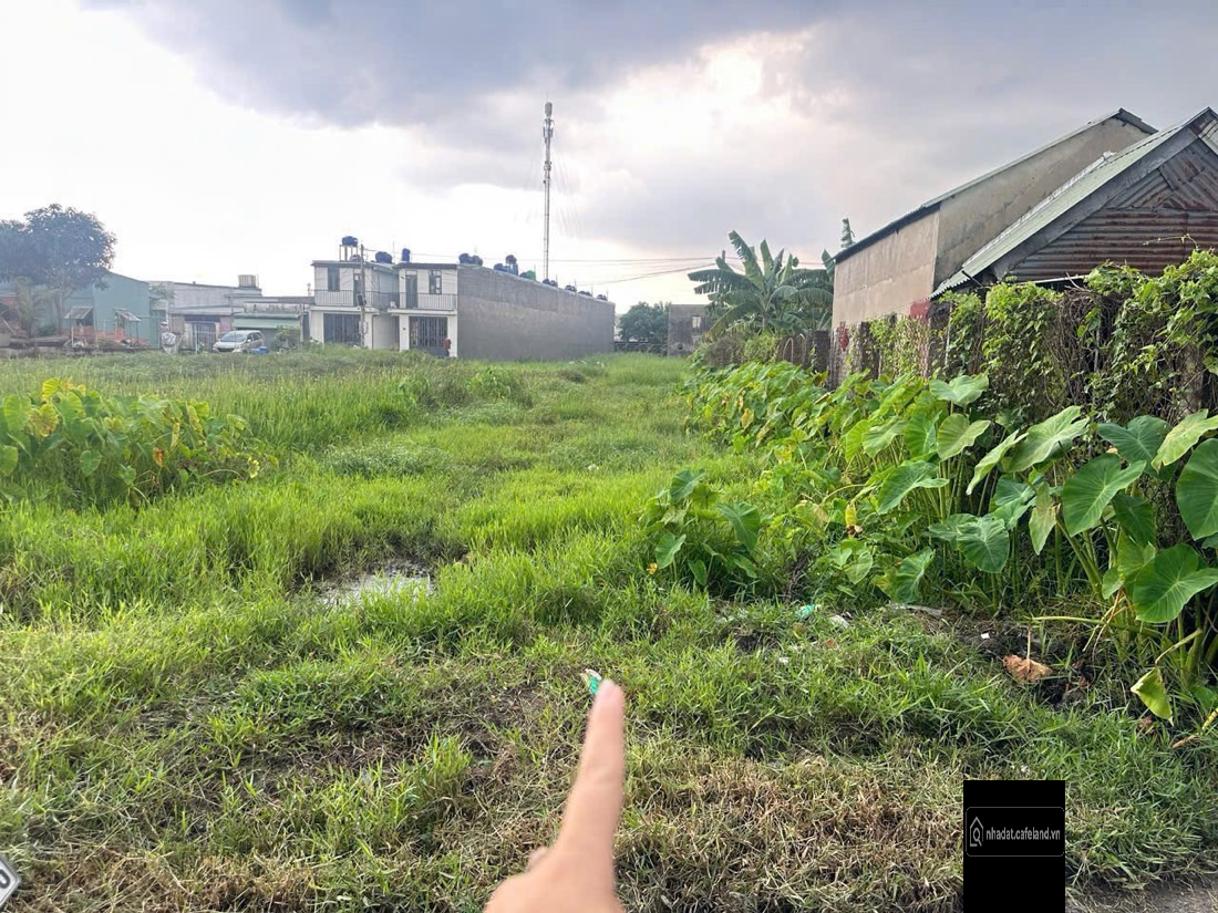 Bất động sản tại Tây Ninh - ảnh 1
