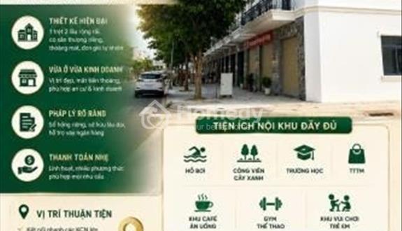 Bất động sản tại Bình Dương - ảnh 1