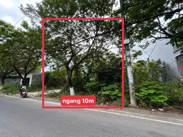 Bất động sản tại Khánh Hòa - ảnh 1