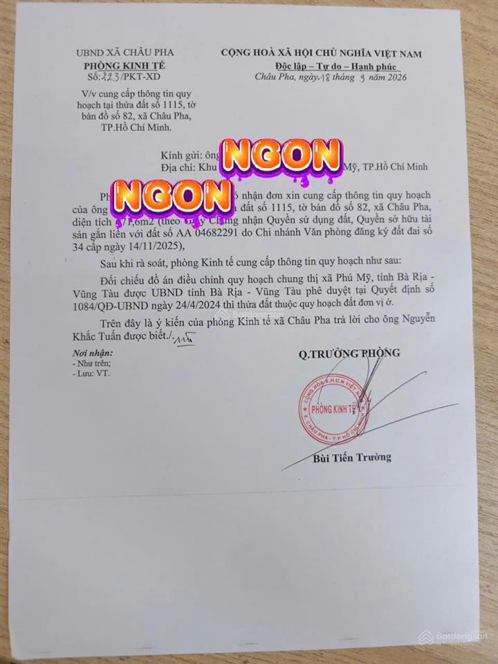 Bất động sản tại Bà Rịa - Vũng Tàu - ảnh 1