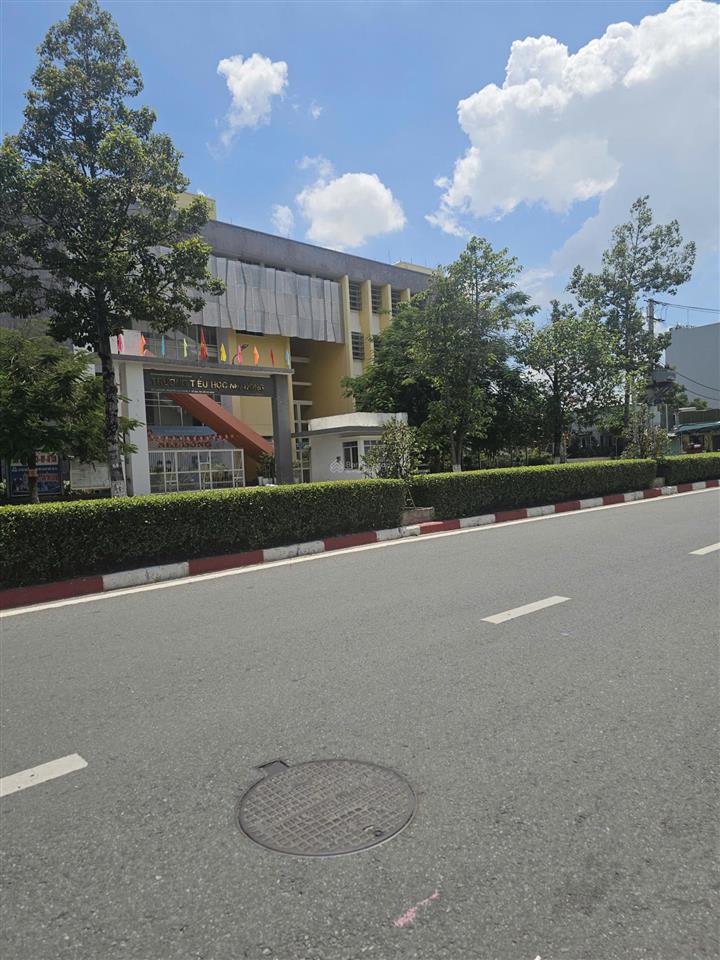 Bất động sản tại Bình Dương - ảnh 1