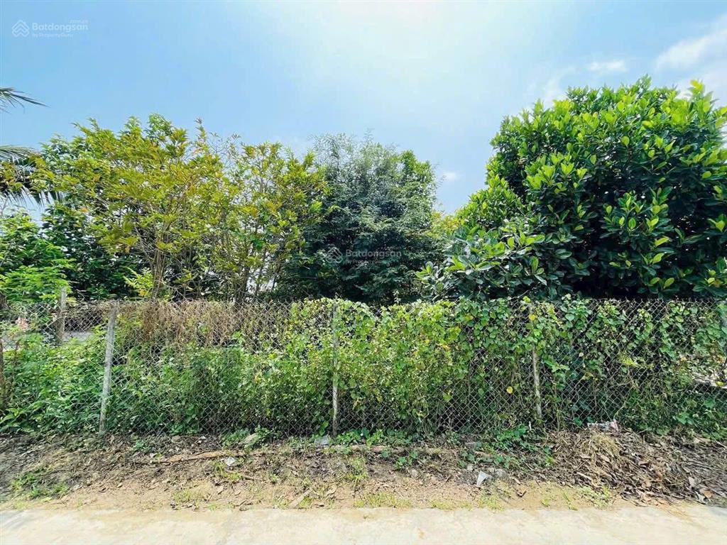 Bất động sản tại Khánh Hòa - ảnh 1