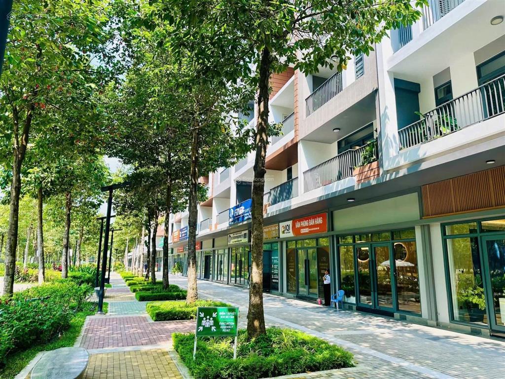Bất động sản tại Bình Dương - ảnh 1