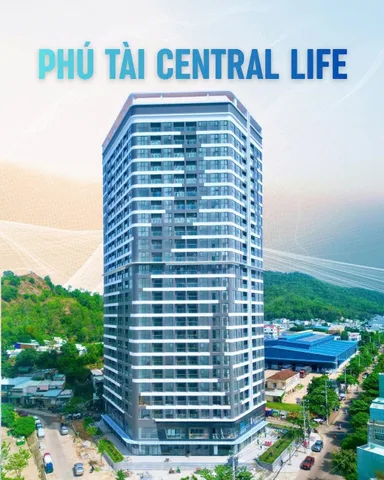 Bất động sản tại Bình Định - ảnh 1