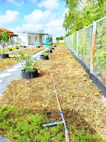 Bất động sản tại Long An - ảnh 1