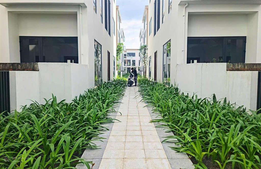 Bất động sản tại Long An - ảnh 1