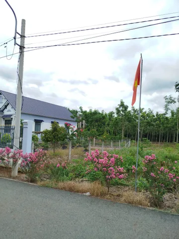 Bất động sản tại Bình Dương - ảnh 1