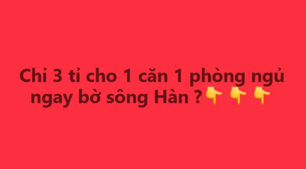 Bất động sản tại Đà Nẵng - ảnh 1