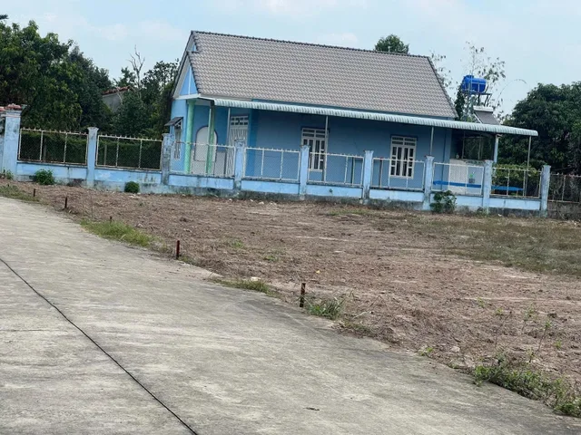 Bất động sản tại Bình Dương - ảnh 1