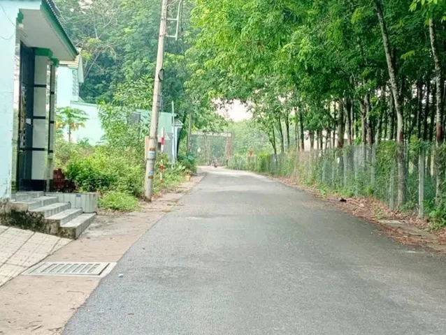 Bất động sản tại Bình Dương - ảnh 1