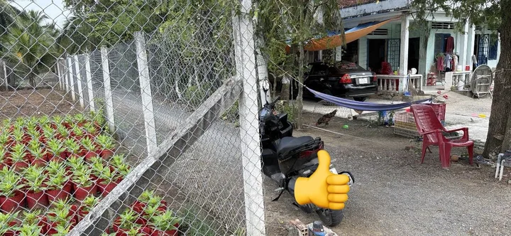 Bất động sản tại Bến Tre - ảnh 1