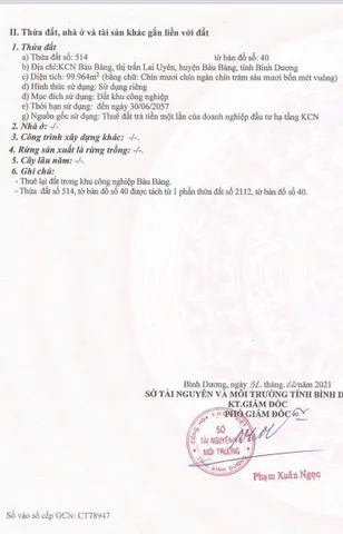 Bất động sản tại Bình Dương - ảnh 1
