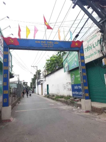 Bất động sản tại Bình Dương - ảnh 1