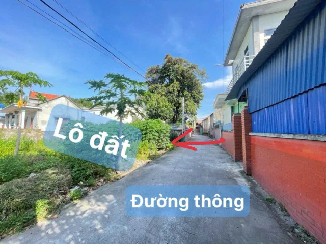 Bất động sản tại Hải Phòng - ảnh 1
