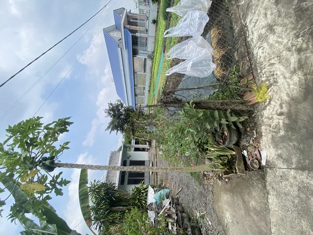 Bất động sản tại Đồng Nai - ảnh 1