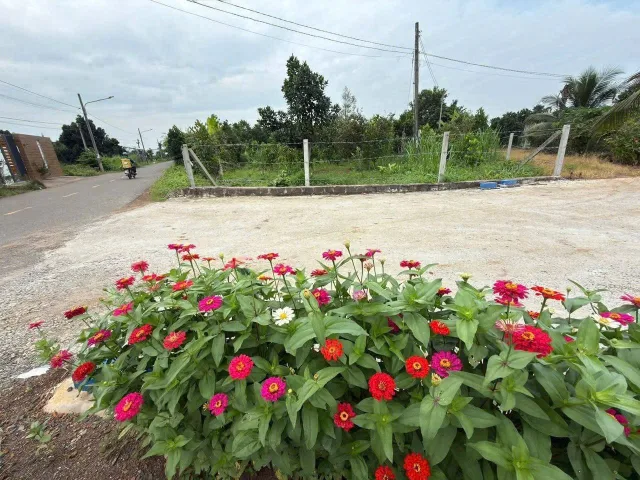 Bất động sản tại Bà Rịa - Vũng Tàu - ảnh 1