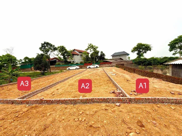 Bất động sản tại Phú Thọ - ảnh 1