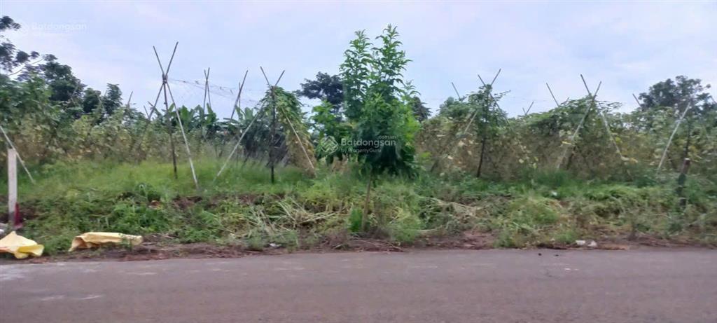 Bất động sản tại Bà Rịa - Vũng Tàu - ảnh 1