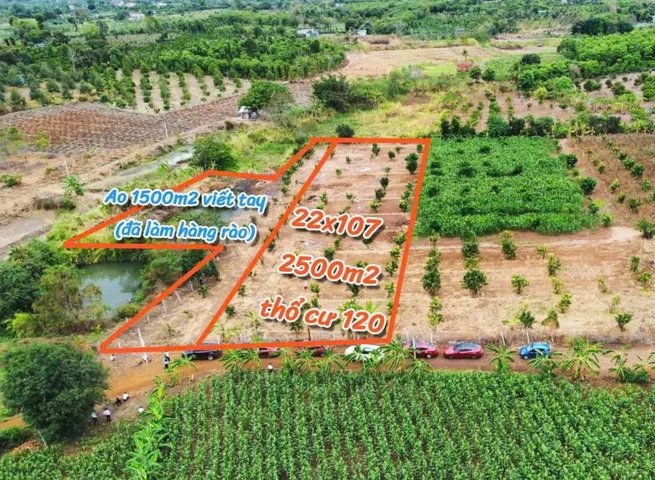 Bất động sản tại Đắk Lắk - ảnh 1