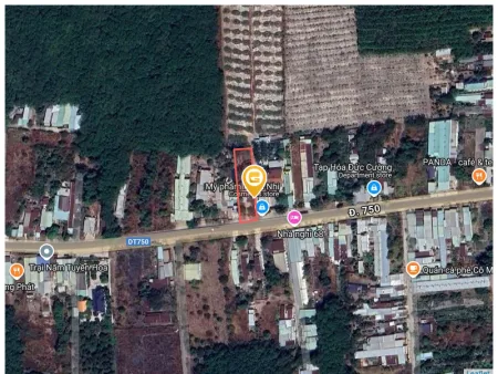 Bất động sản tại Bình Dương - ảnh 1