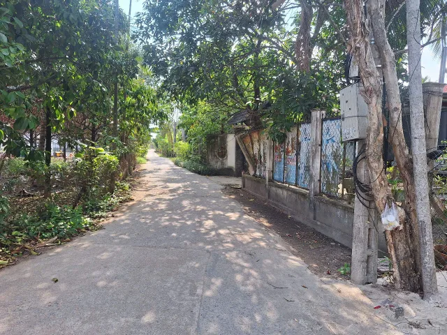 Bất động sản tại Bình Dương - ảnh 1