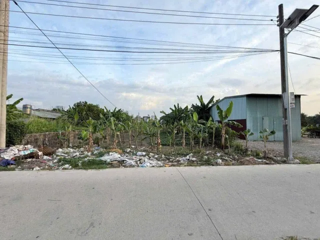 Bất động sản tại Bình Dương - ảnh 1