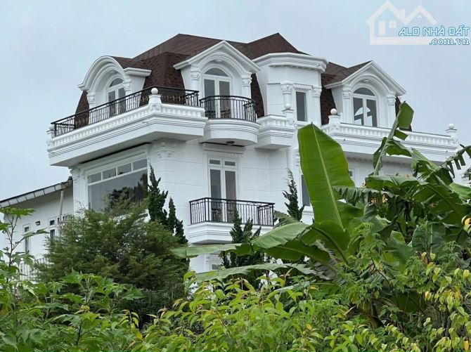 Bất động sản tại Lâm Đồng - ảnh 1