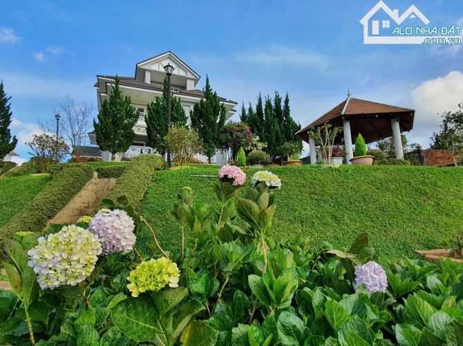 Bất động sản tại Lâm Đồng - ảnh 1