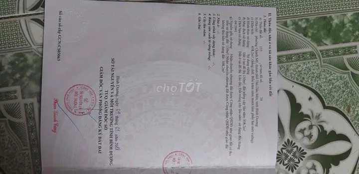 Bất động sản tại Bình Dương - ảnh 1
