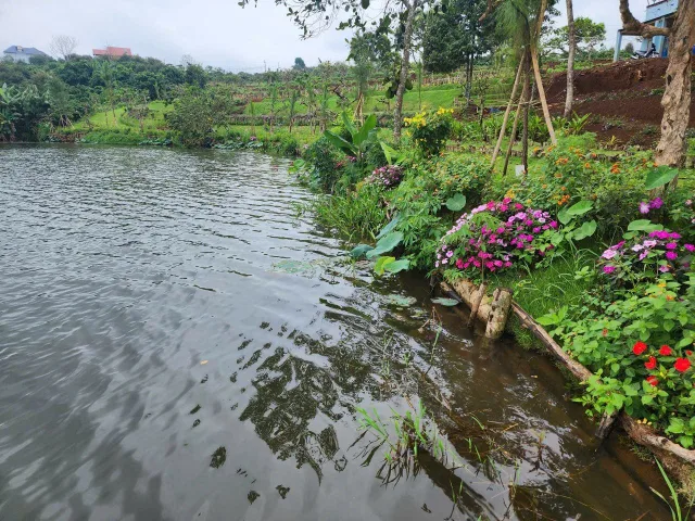 Bất động sản tại Lâm Đồng - ảnh 1