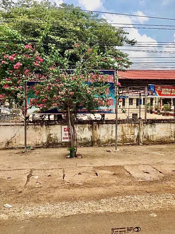 Bất động sản tại Bình Phước - ảnh 1