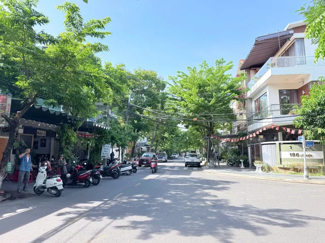 Bất động sản tại Đà Nẵng - ảnh 1