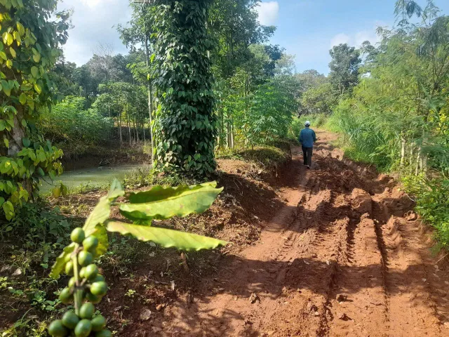 Bất động sản tại Đắk Lắk - ảnh 1