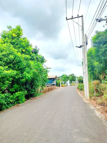 Bất động sản tại Bình Dương - ảnh 1