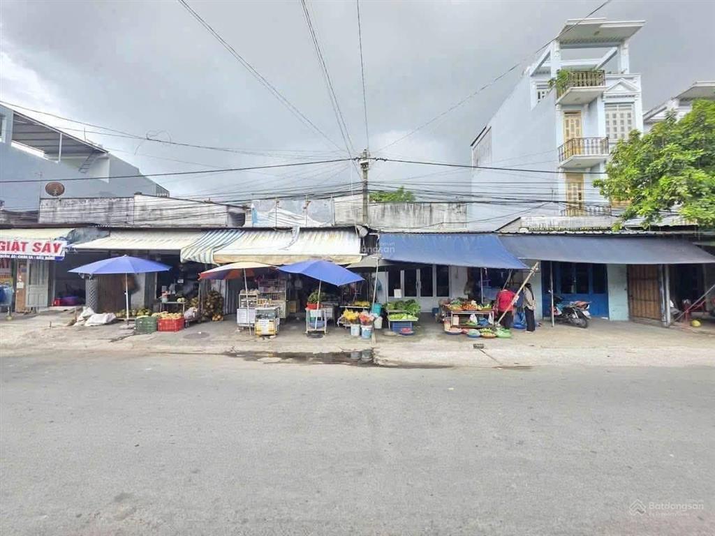 Bất động sản tại Bình Dương - ảnh 1