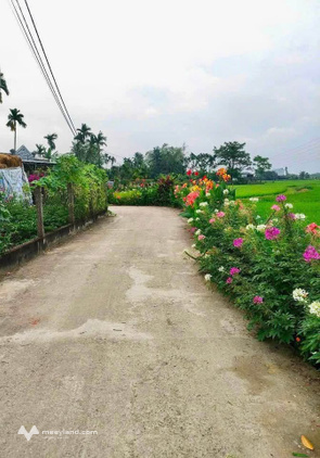Bất động sản tại Đà Nẵng - ảnh 1