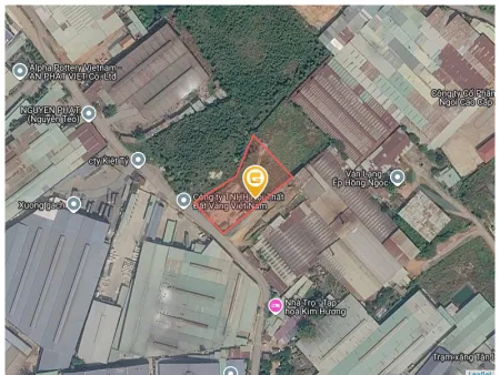 Bất động sản tại Bình Dương - ảnh 1