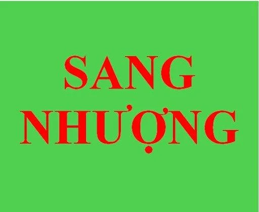 Bất động sản tại Bình Dương - ảnh 1