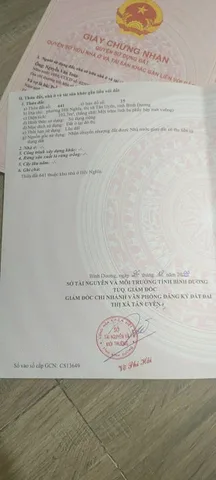 Bất động sản tại Bình Dương - ảnh 1