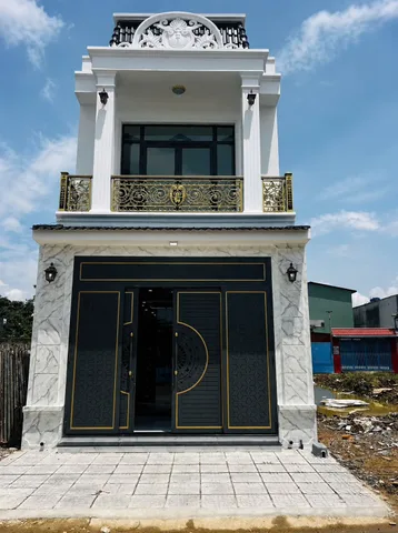 Bất động sản tại Bình Dương - ảnh 1
