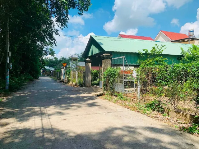 Bất động sản tại Bình Dương - ảnh 1