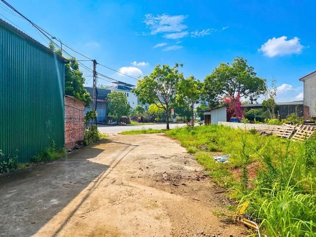 Bất động sản tại Phú Thọ - ảnh 1