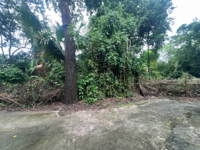 Bất động sản tại Phú Thọ - ảnh 1