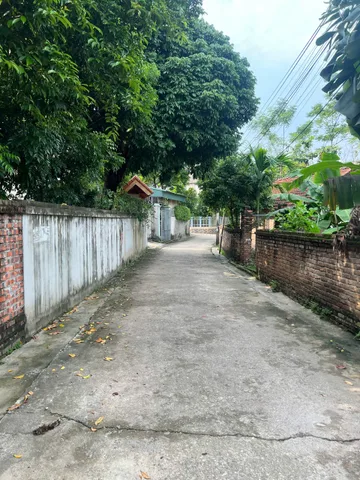 Bất động sản tại Phú Thọ - ảnh 1