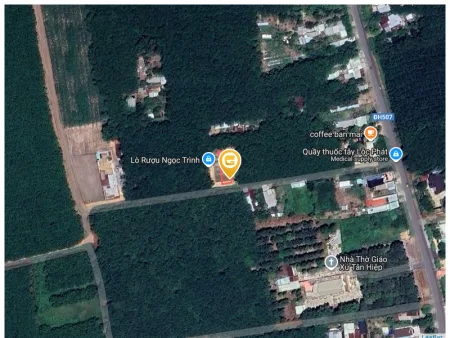 Bất động sản tại Bình Dương - ảnh 1